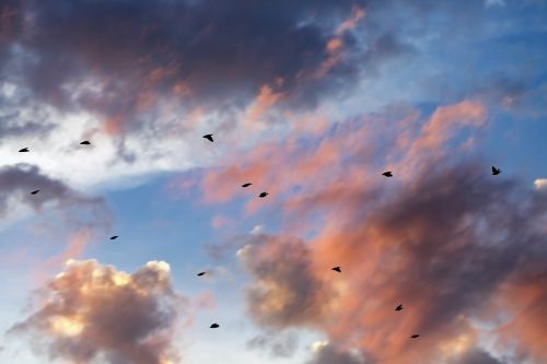 sunset clouds cloudscape