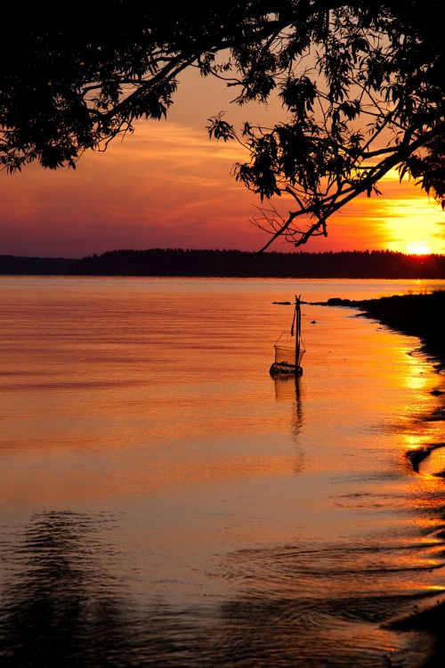 sunset fishing lake