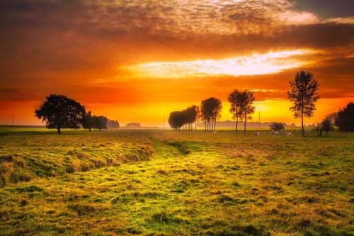 sunset field meadow