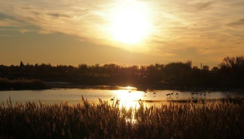 sunset against day nature