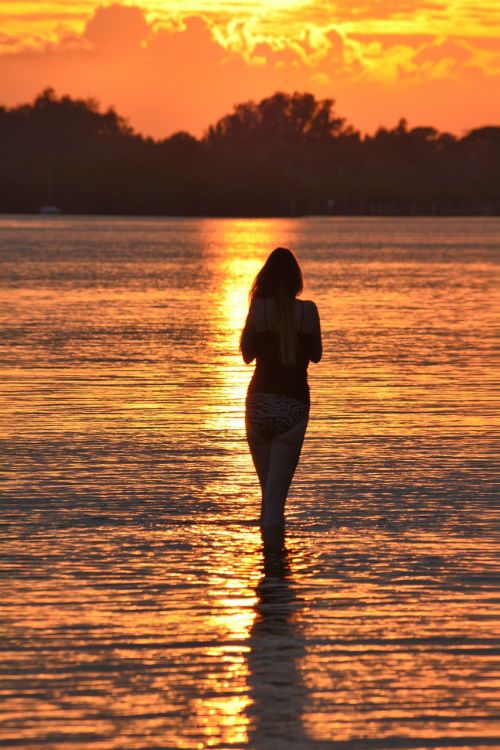 sunset young woman silhouette