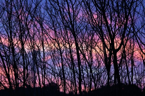 sunset winter ramos
