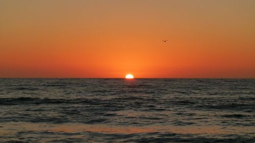 sunset ocean beach pacific