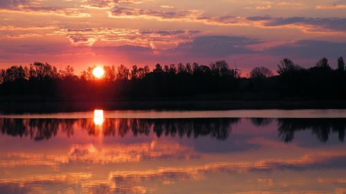 sunset trees lake