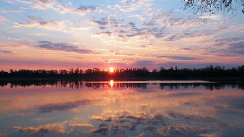 sunset trees lake