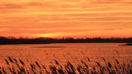 sunset trees lake