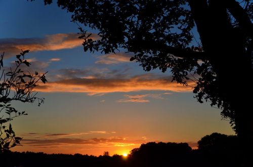 sunset sun silhouette