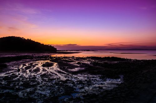 sunset the sea violet