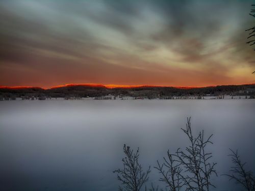 sunset forest trees