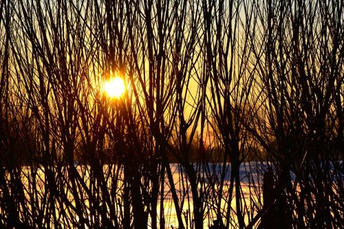 sunset winter wintry