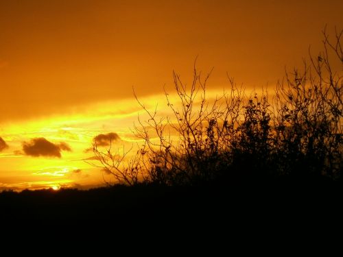 sunset afterglow evening sky