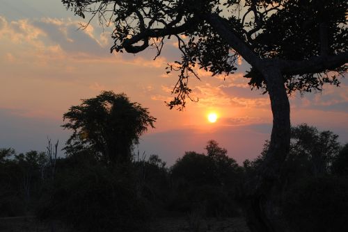 sunset africa safari