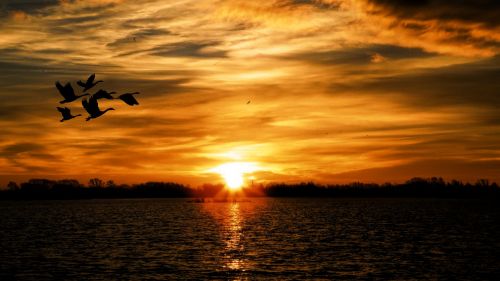 sunset landscape lake