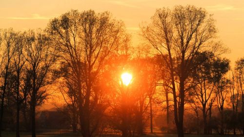 sunset landscape trees