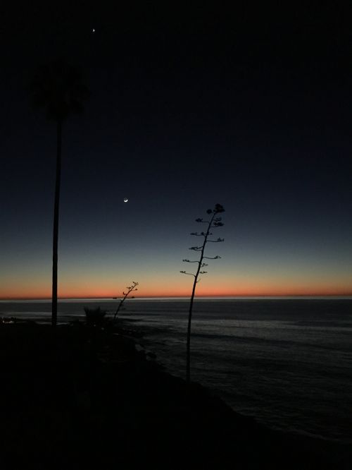 sunset beach silhouette