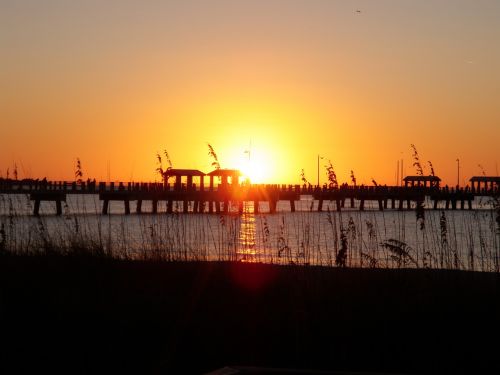 sunset pier reeds