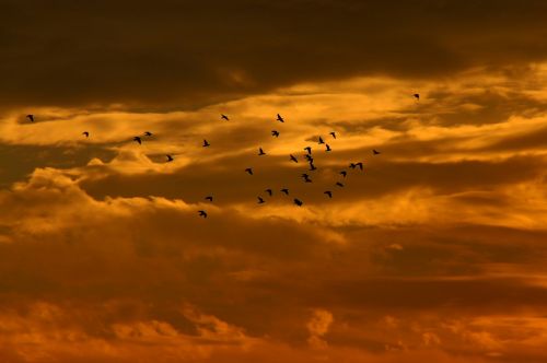 sunset sky cloud