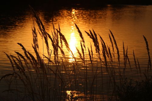 sunset water reflection