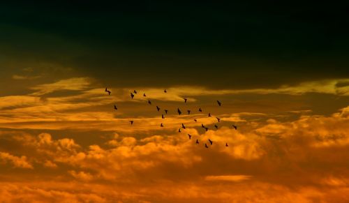 sunset sky cloud