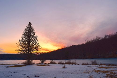 sunset lake tree