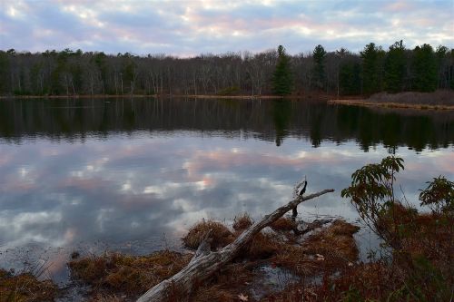 sunset lake trees