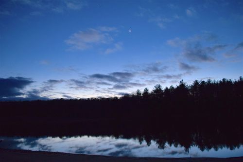 sunset lake trees