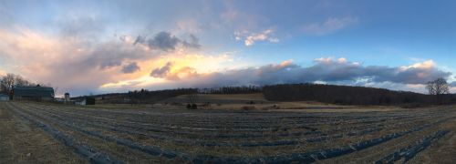 sunset farm sky