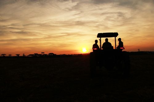 sunset tractor silhouette
