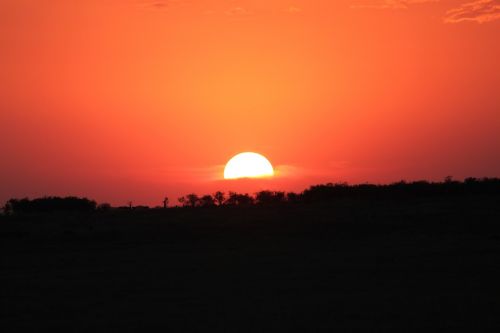 sunset africa seringeti