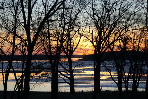 sunset tree winter