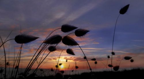 sunset sunrise landscape