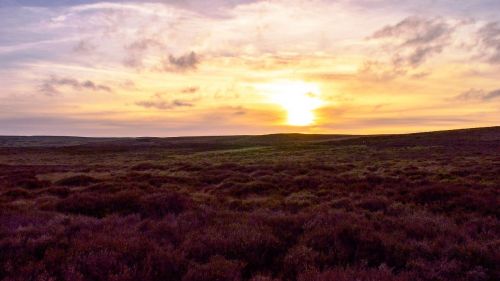 sunset moor nature