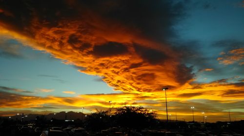 sunset nature evening sky