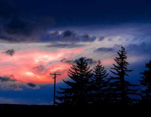 sunset trees landscape