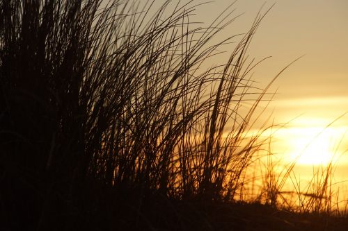 sunset beach texel