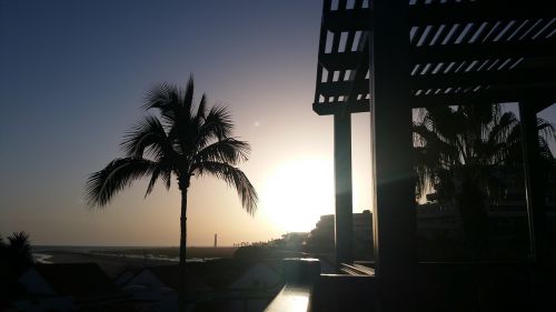 sunset fuerteventura palm