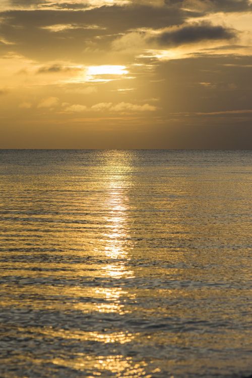 sunset sea gold