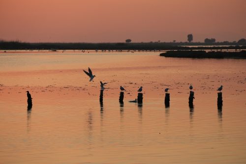 sunset izmir solar