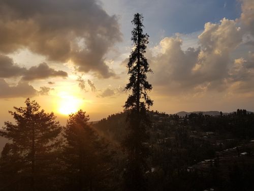 sunset tree mountains