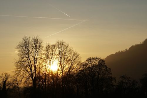 sunset trees twilight