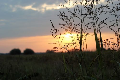 sunset evening sunshine