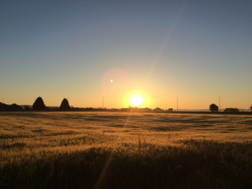 sunset sun field