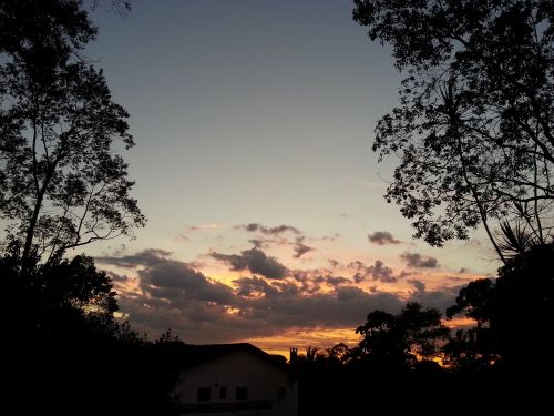 sunset trees landscape