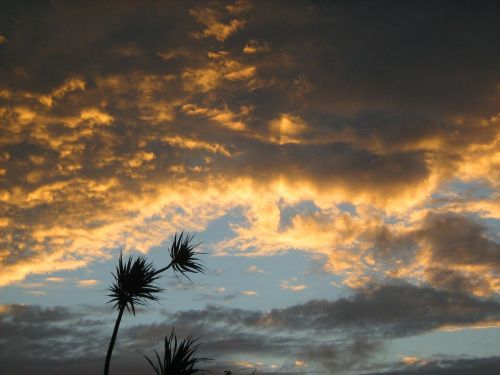 sunset salvador bahia