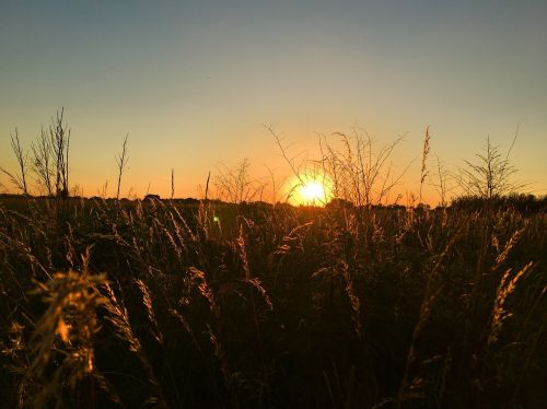 sunset nature himmel