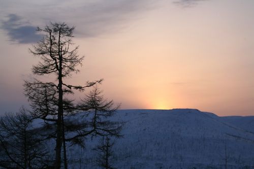 sunset mountains larch