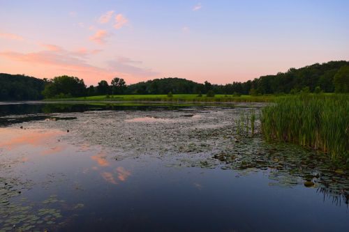 sunset pond grass