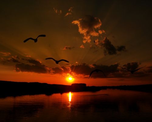 sunset water reflection