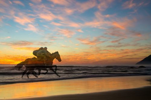 sunset racing horses