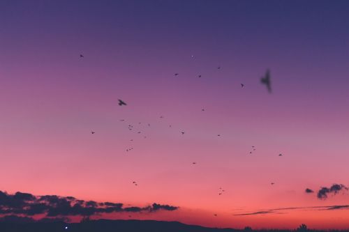 sunset sky cloud